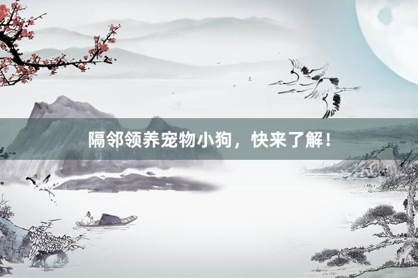 隔邻领养宠物小狗，快来了解！