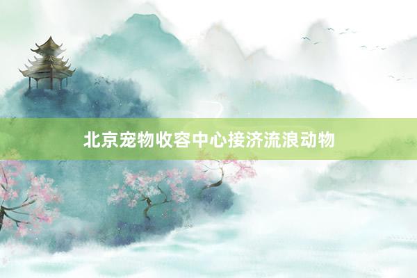 北京宠物收容中心接济流浪动物